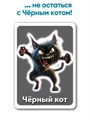 Черый кот. Игра для развития зрительной памяти и сообразительности 3-5 лет 3737