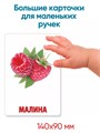 Карточки Домана. 50 карточек для запуска речи 3-5 лет 212